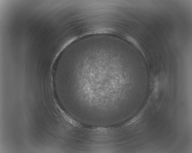 X0000056340827200509021653