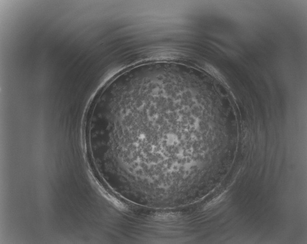 X0000056340843200509021653