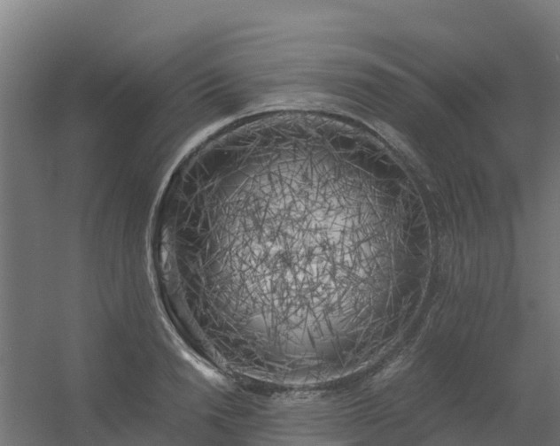 X0000056340846200509021653