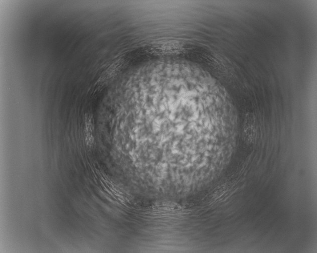 X0000056340866200509021653