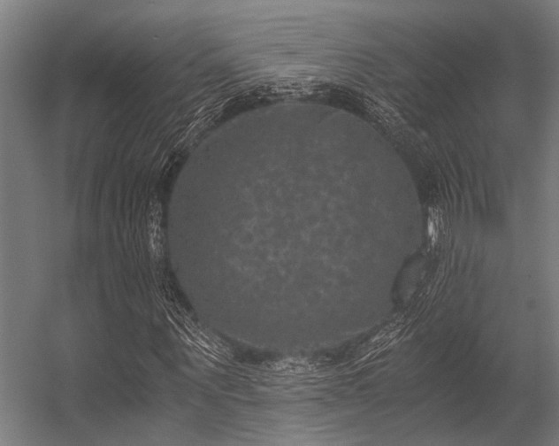 X0000056340867200509021653