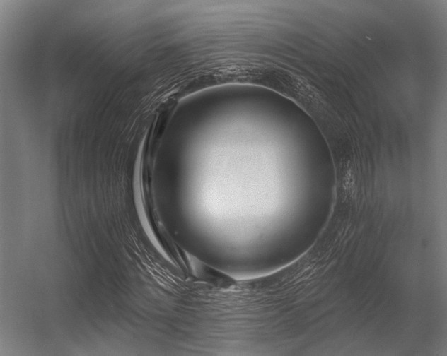 X0000056340868200509021653