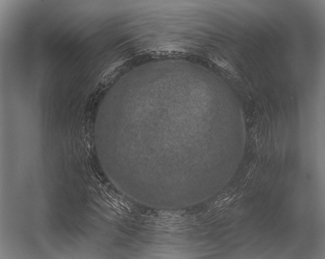 X0000056340870200509021653
