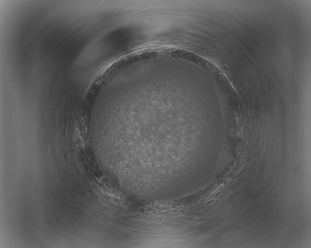 X0000056340871200509021653