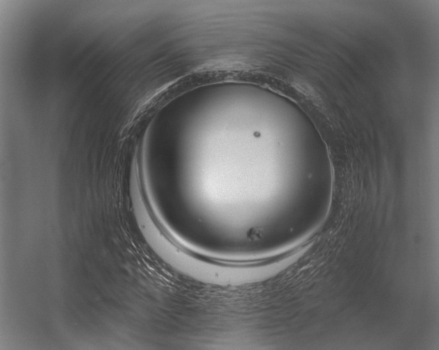 X0000056340872200509021653