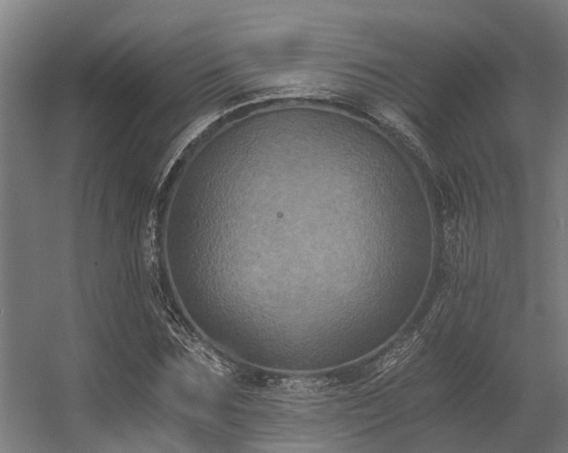 X0000056340875200509021653