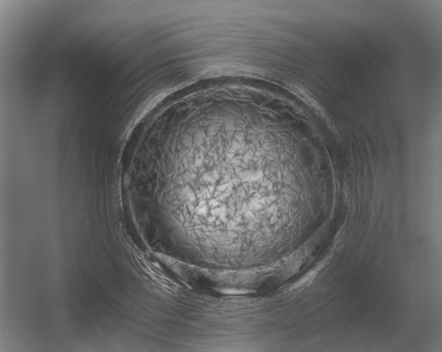 X0000056340877200509021653