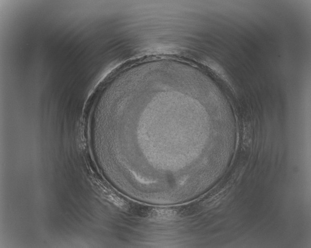 X0000056340878200509021653