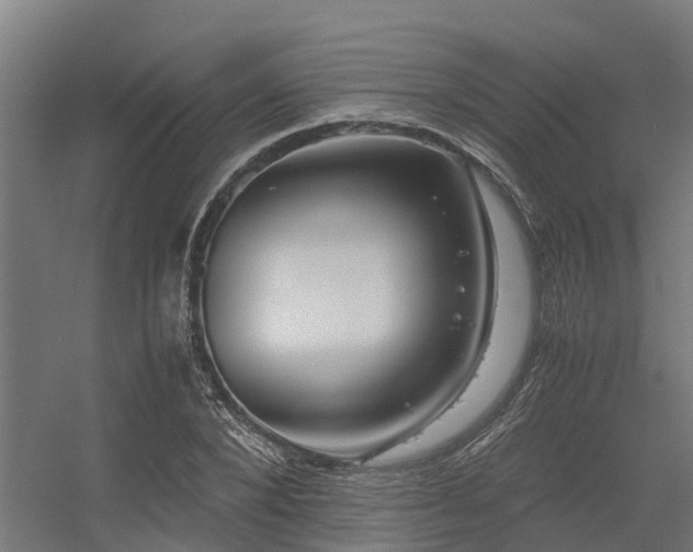 X0000056340880200509021653