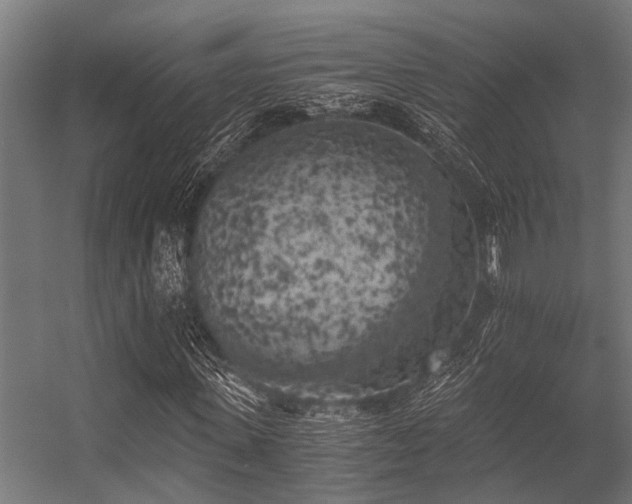 X0000056340915200509021651