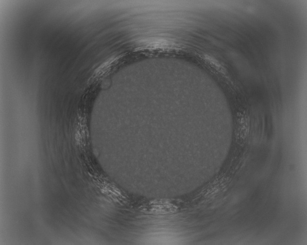 X0000056340918200509021651