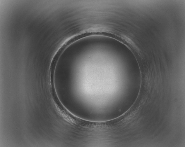 X0000056340934200509021652