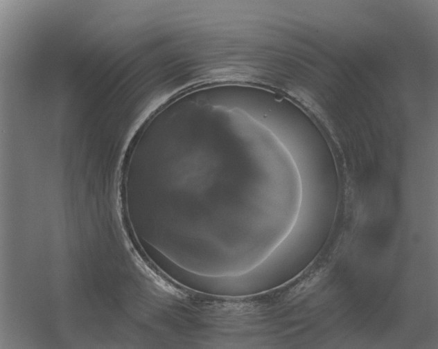 X0000056340941200509021652