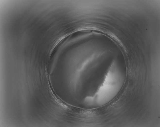 X0000056340945200509021652