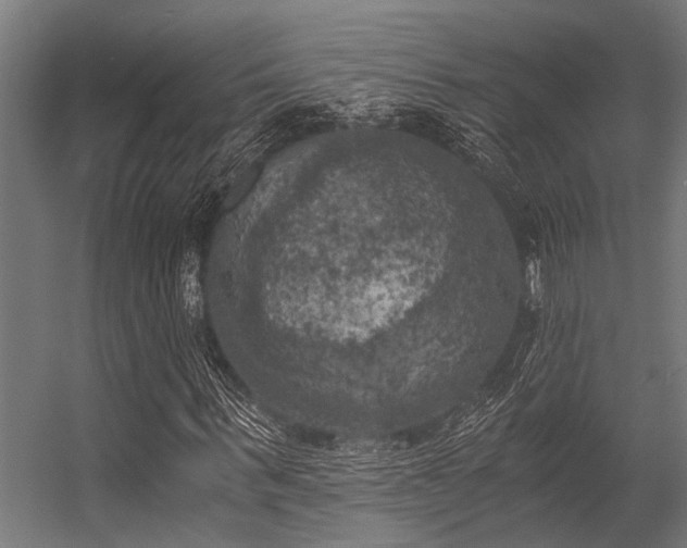 X0000056340963200509021651