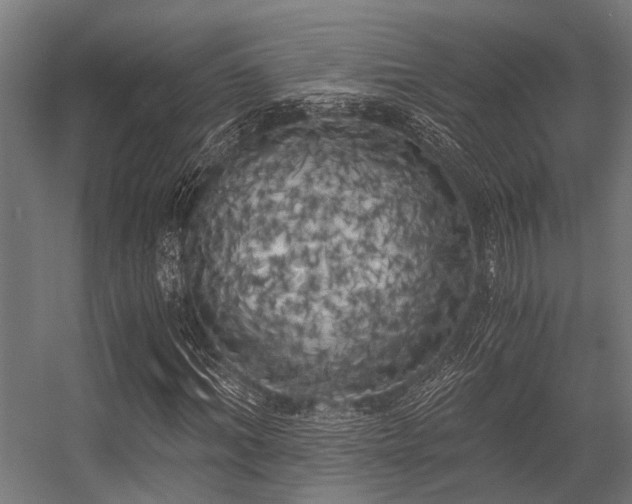 X0000056340964200509021651