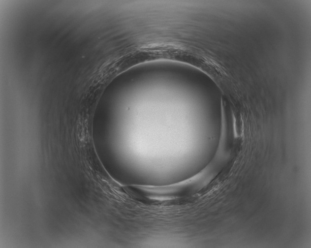 X0000056340965200509021651
