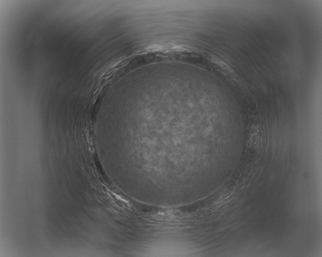 X0000056340966200509021651
