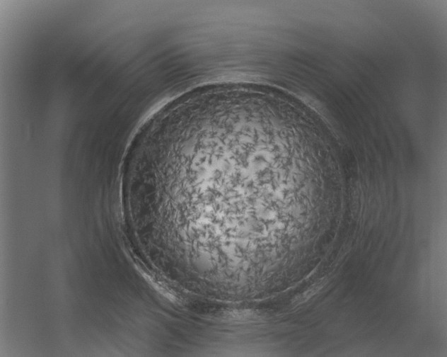 X0000056340982200509021651