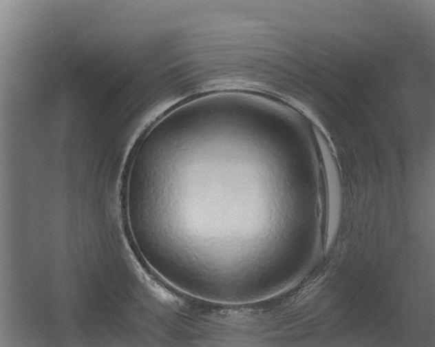 X0000056340995200509021651