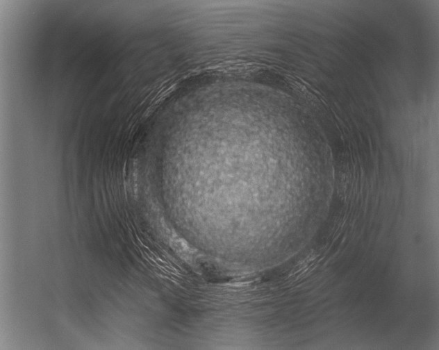 X0000056341010200509021650