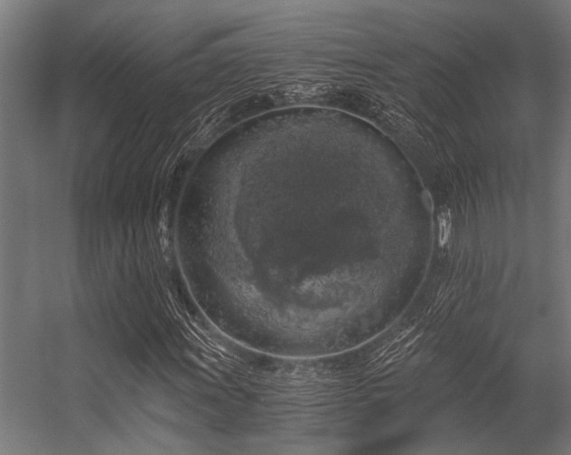 X0000056341011200509021650