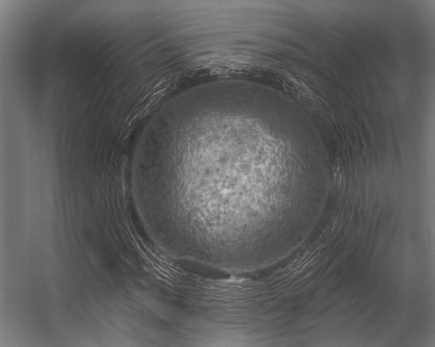 X0000056341012200509021650