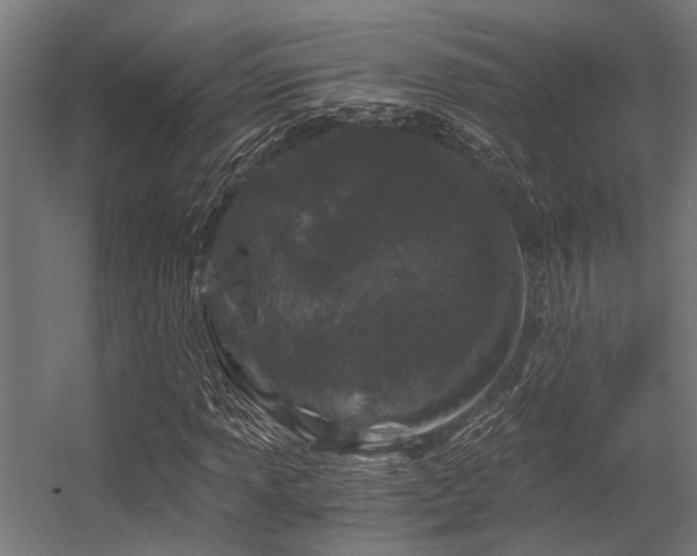 X0000056341013200509021650
