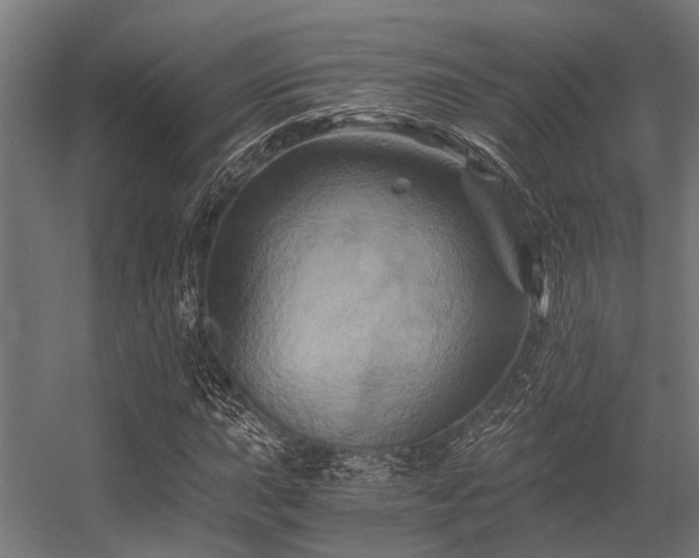 X0000056341015200509021650