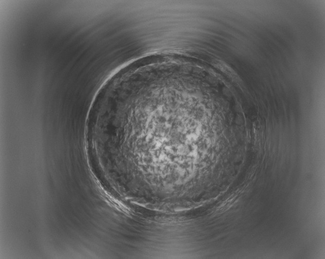 X0000056341020200509021650