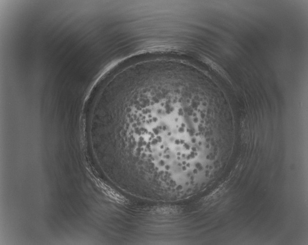 X0000056341021200509021650