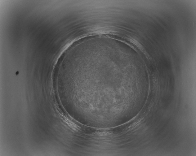 X0000056341023200509021650