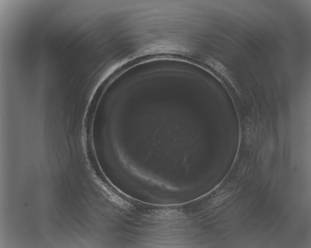 X0000056341024200509021650