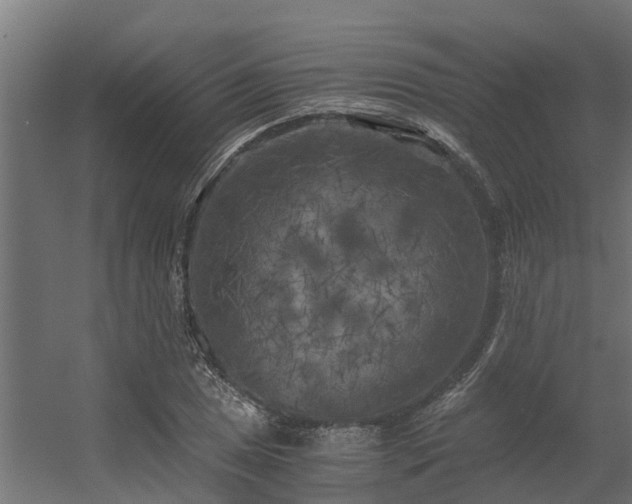 X0000056341025200509021650