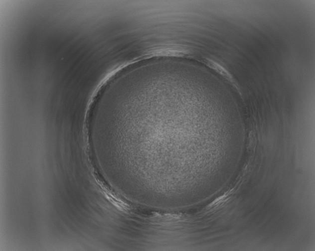 X0000056341027200509021650