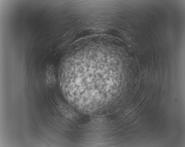 X0000056341058200509021650