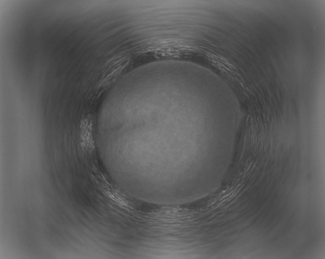 X0000056341060200509021650