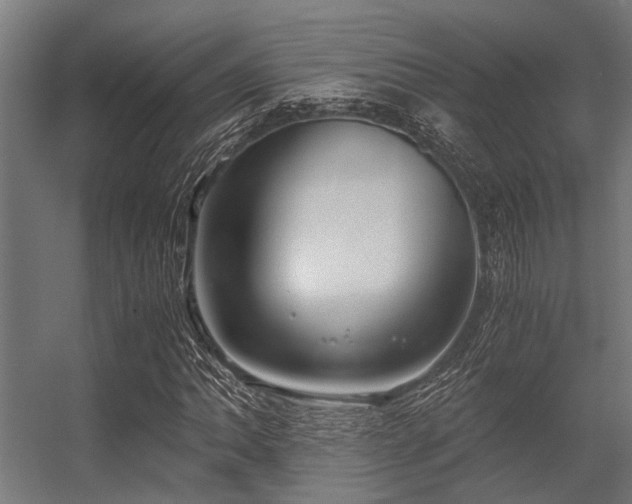 X0000056341062200509021650