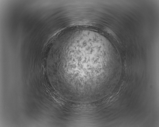 X0000056341064200509021650