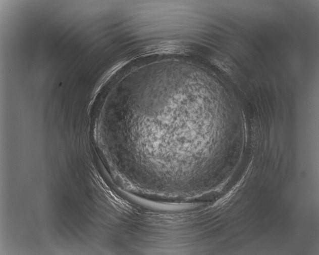 X0000056341066200509021649