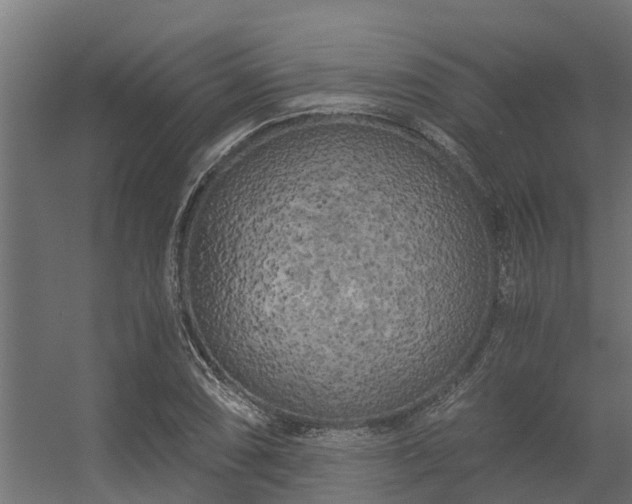 X0000056341074200509021649