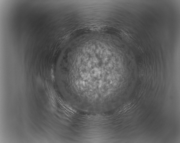 X0000056341106200509021648