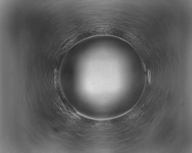X0000056341107200509021648