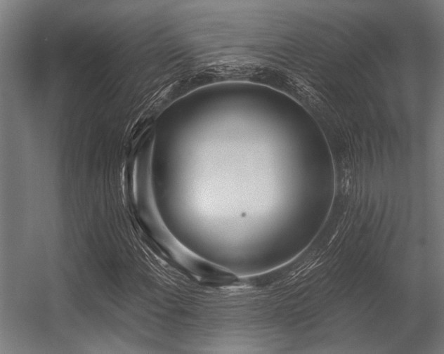X0000056341108200509021648