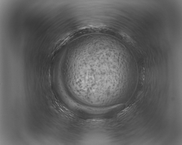 X0000056341110200509021648