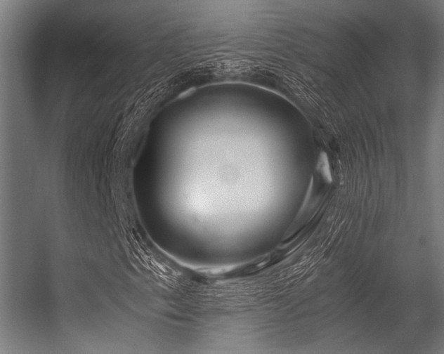 X0000056341153200509021648