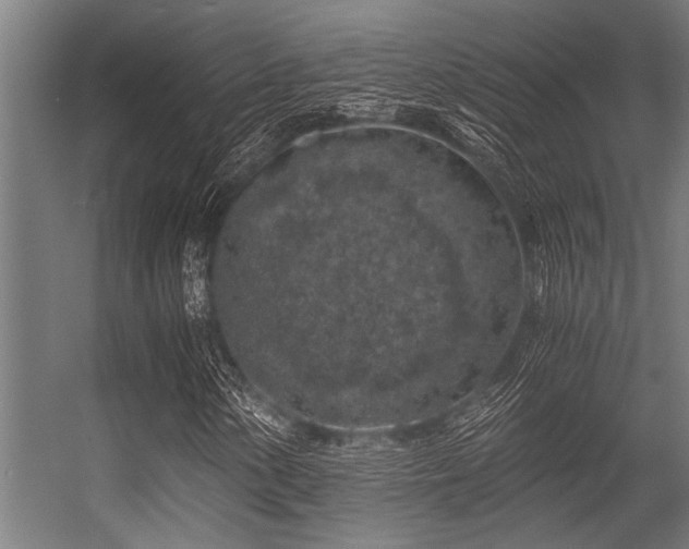 X0000056341154200509021648