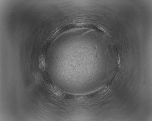 X0000056341155200509021648