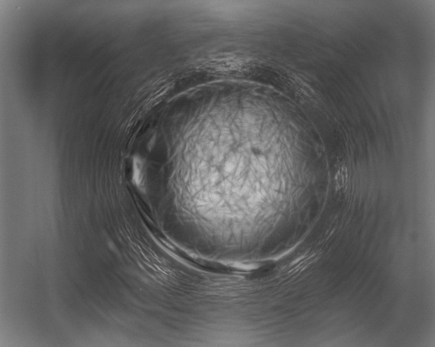X0000056341156200509021648