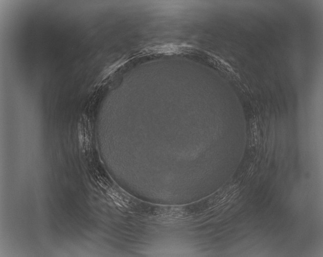 X0000056341158200509021648
